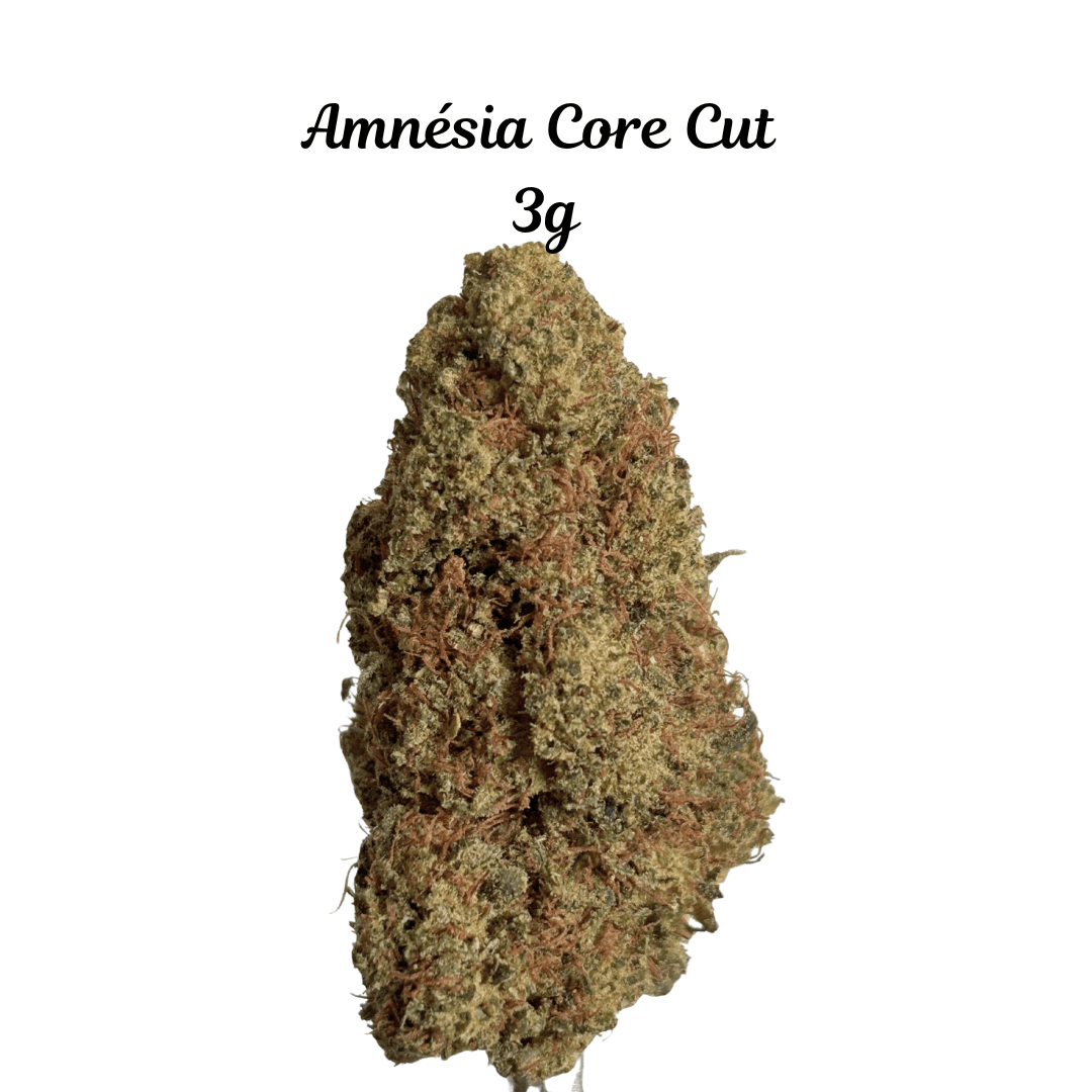 Amnésia Core Cut