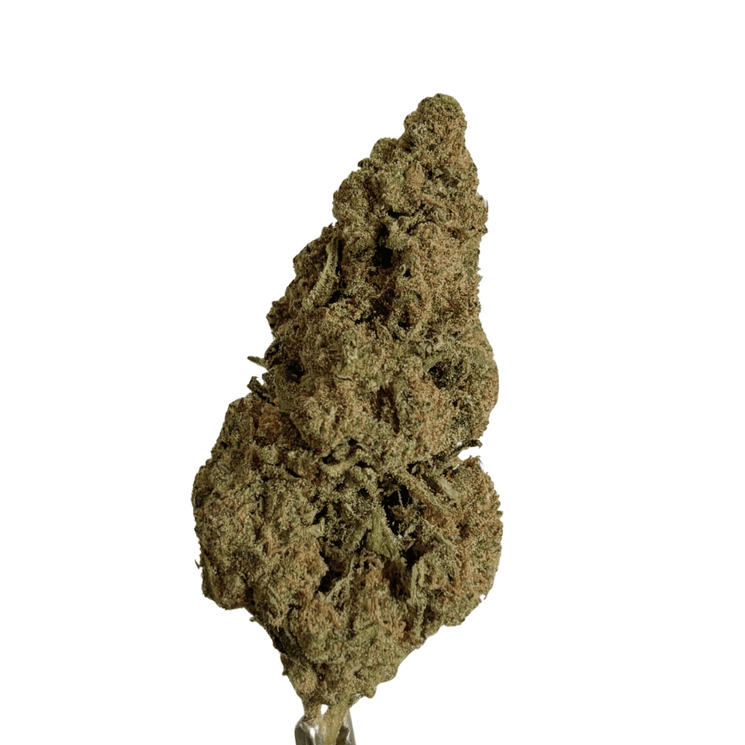 Jack Herer NL-1