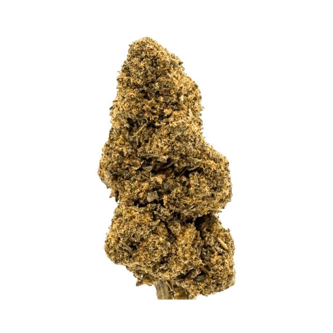 Orange Bud CBDX