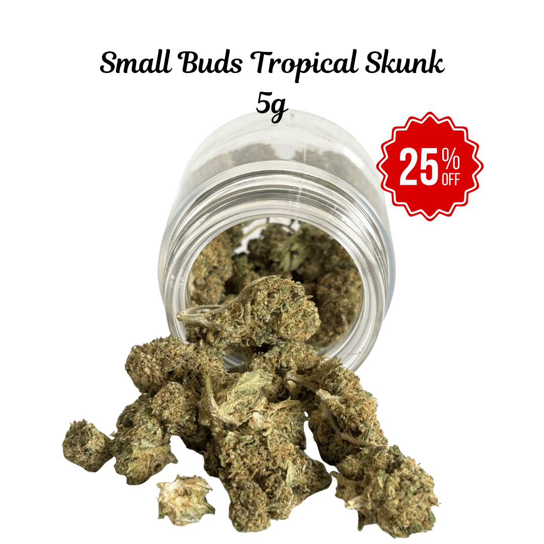 Tropical Skunk (Smalls)