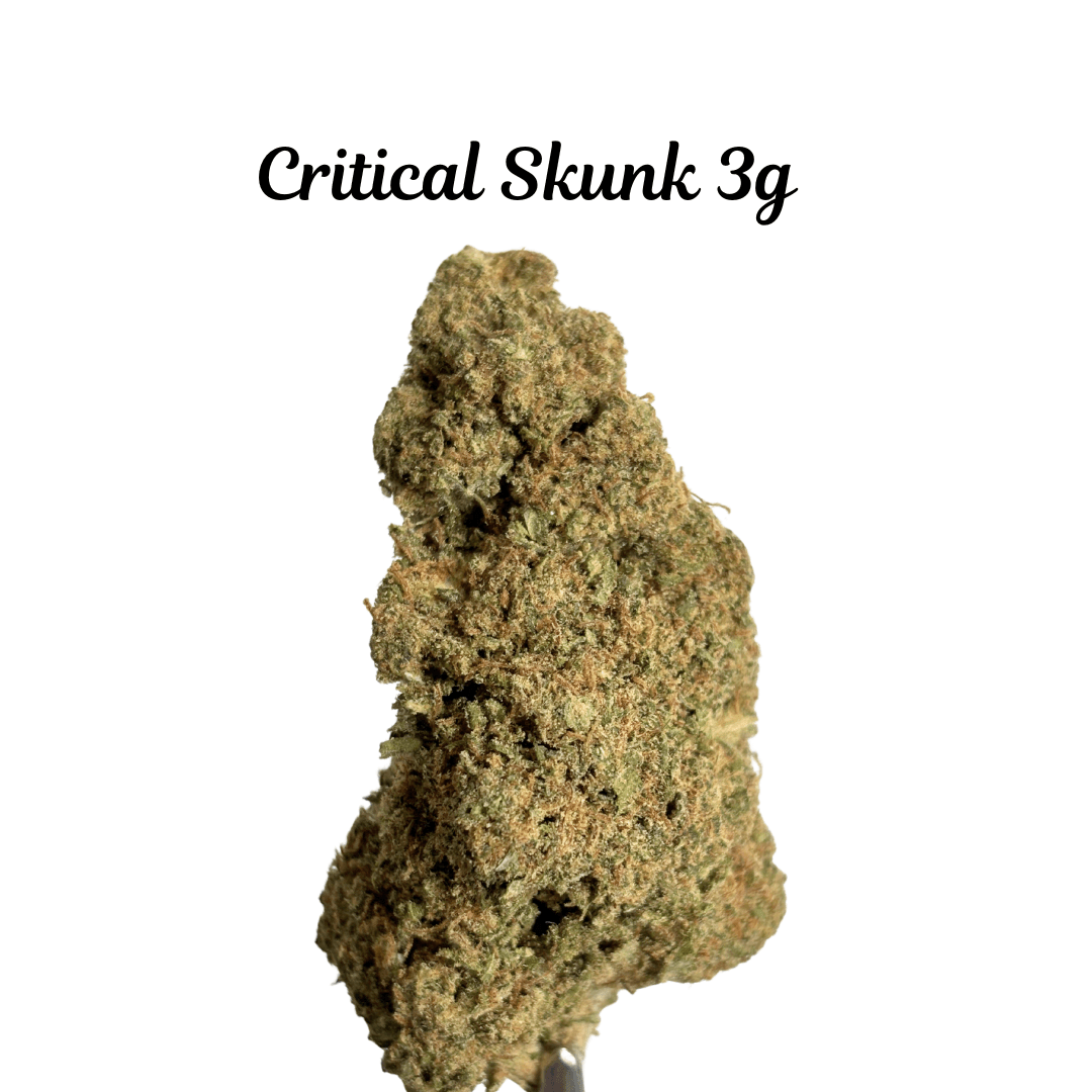 Critical Skunk
