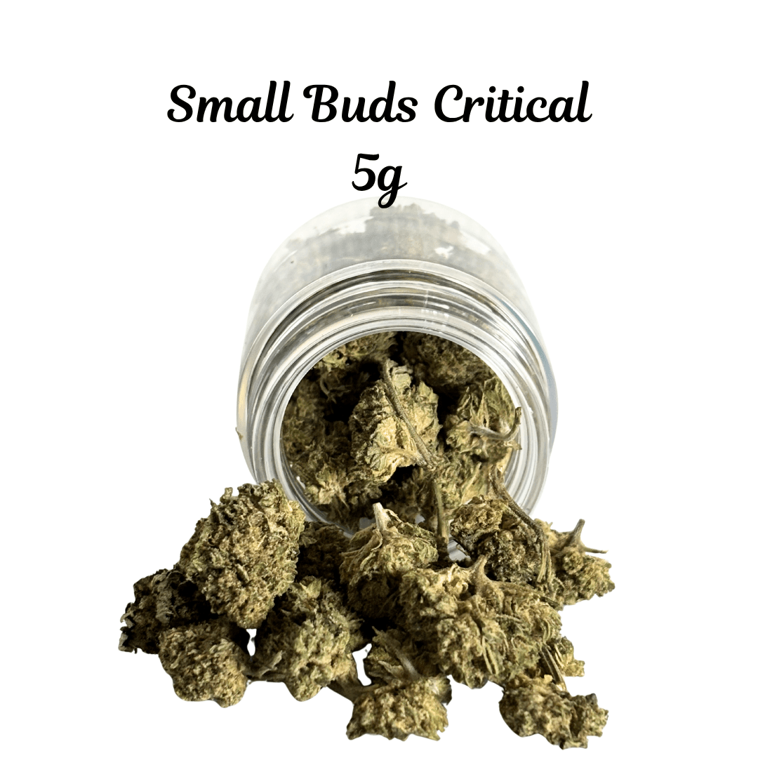 Critical (Smalls)