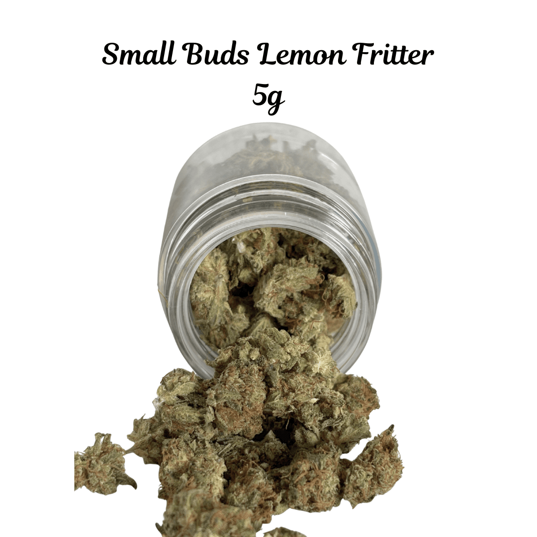 Lemon Fritter (Smalls)